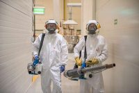 zwalczanie szkodników magazynowych Wrocław zwalczanie szkodników magazynowych Wrocław