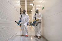 zwalczanie szkodników magazynowych Wrocław zwalczanie szkodników magazynowych Wrocław