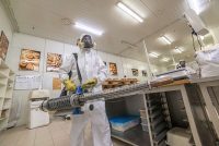 zwalczanie szkodników magazynowych Wrocław zwalczanie szkodników magazynowych Wrocław