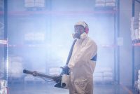 zwalczanie szkodników magazynowych zwalczanie szkodników magazynowych