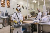 Zwalczanie i likwidacja szkodników Wrocław – dezynfekcja Zwalczanie i likwidacja szkodników Wrocław - dezynfekcja