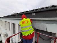 Zakładanie siatki na ptaki Zakładanie siatki na ptaki